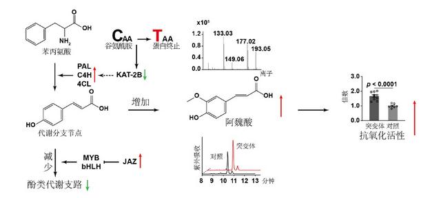 復(fù)旦3月科研成果一覽來了 _ 科研速遞