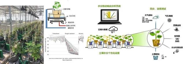 祝賀！國家重點研發(fā)計劃+1！